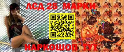 индика Долгопрудный
