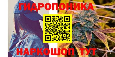 индика Долгопрудный