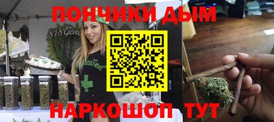 индика Долгопрудный