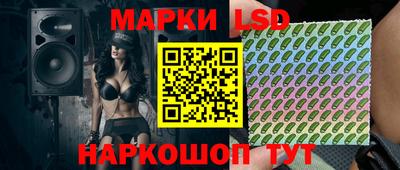 индика Долгопрудный