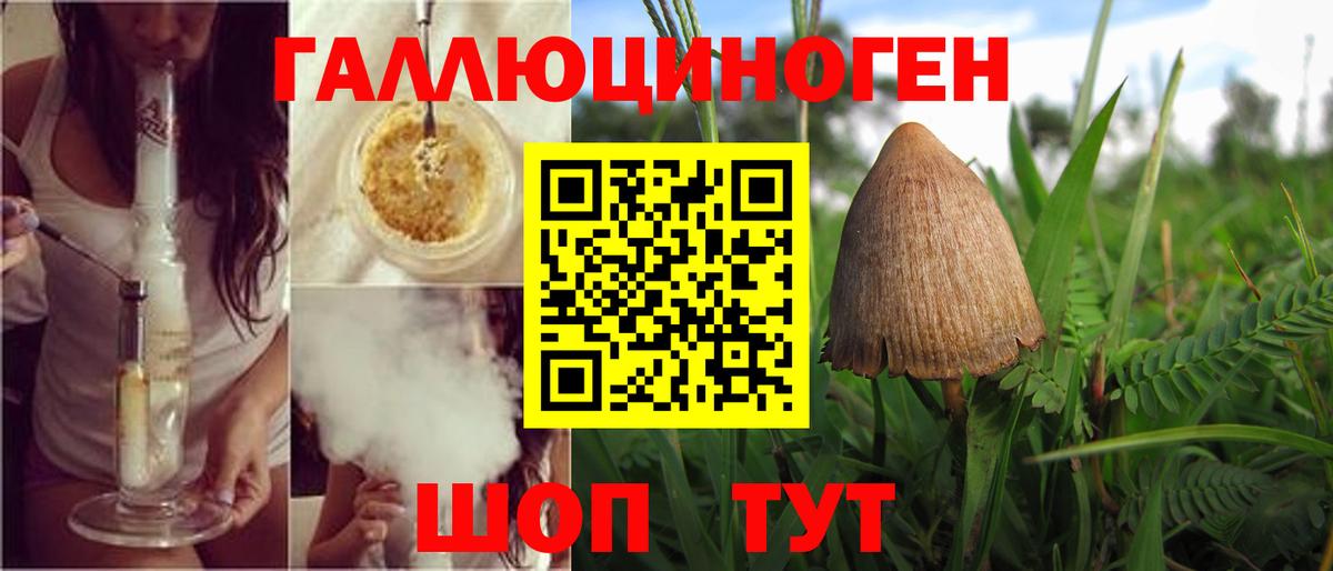 Галлюциногенные грибы Psilocybe Мытищи
