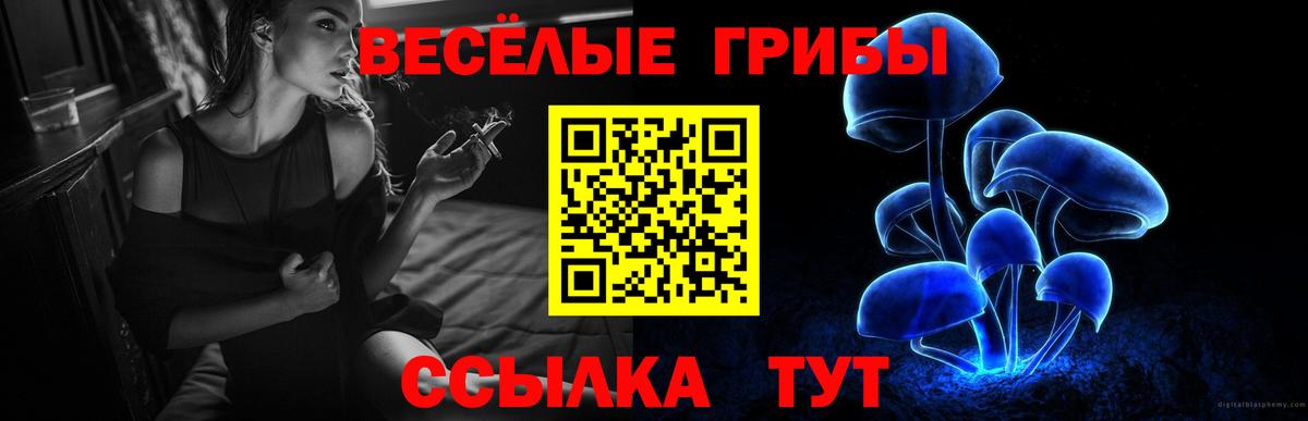 Мытищи  Псилоцибиновые грибы Magic Shrooms  Вход с VPN 